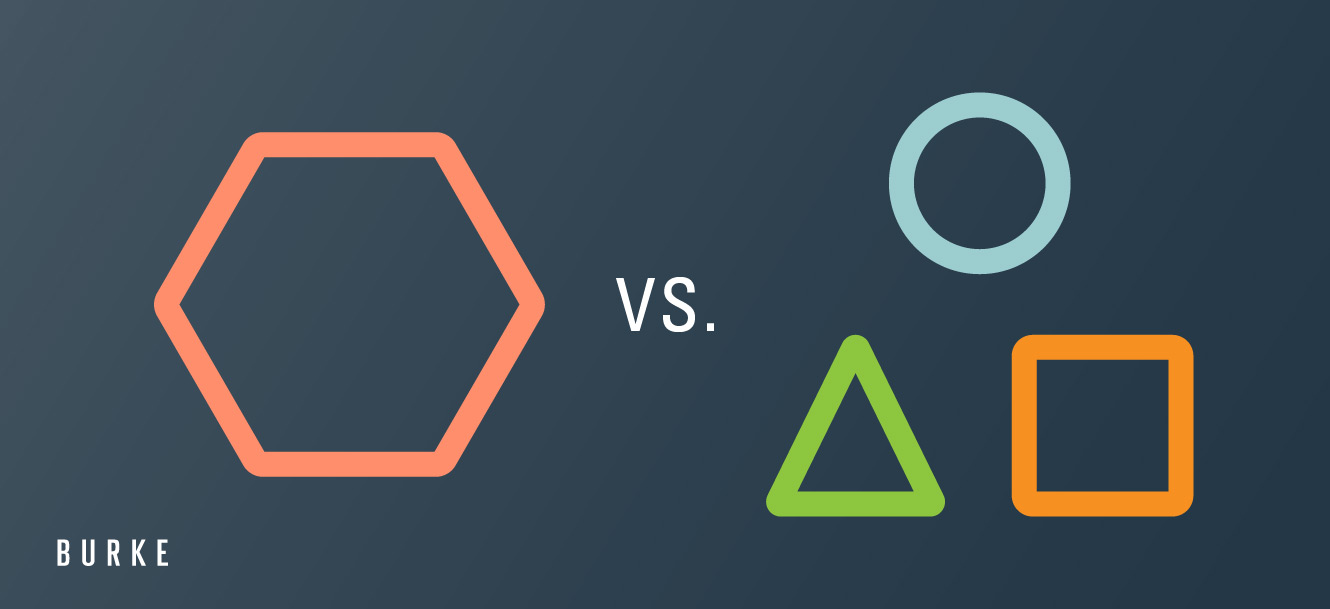 Hybrid vs. Monolithic Company Structures