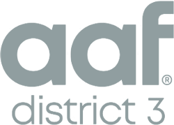 AAF District 3 grey logo
