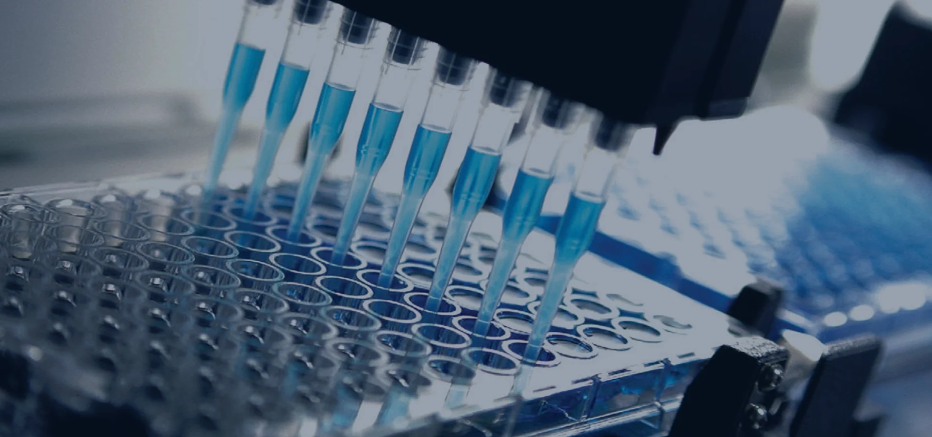 Automated pipetting system dispensing blue liquid into a 96-well plate in a laboratory setting.