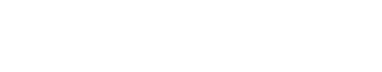 Technology Partner Logo