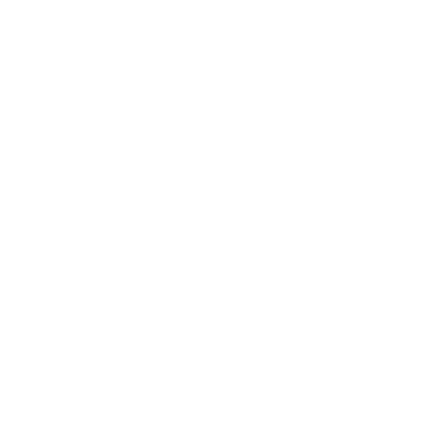 Automotive Partner Logo