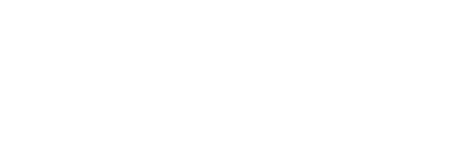Technology Partner Logo