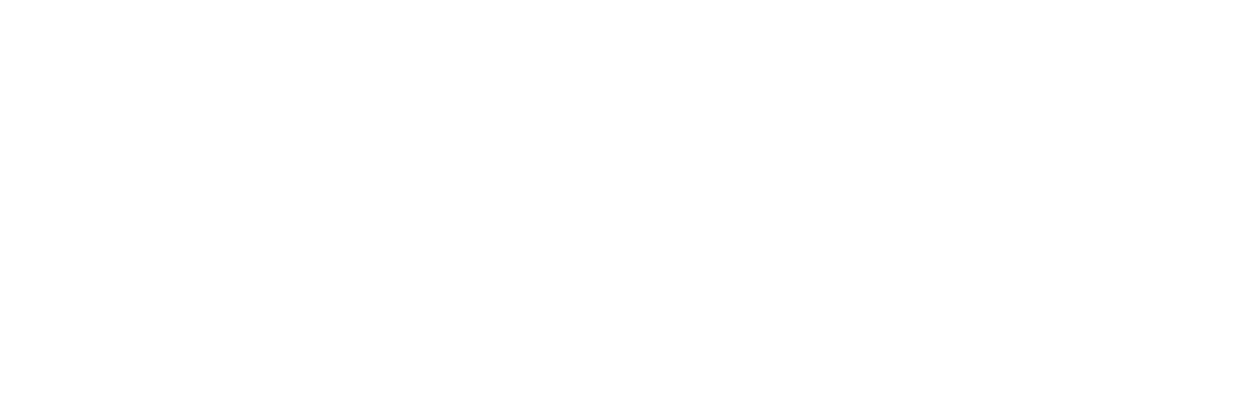 Technology Partner Logo
