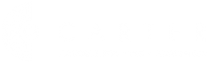 Professional Services Partner Logo