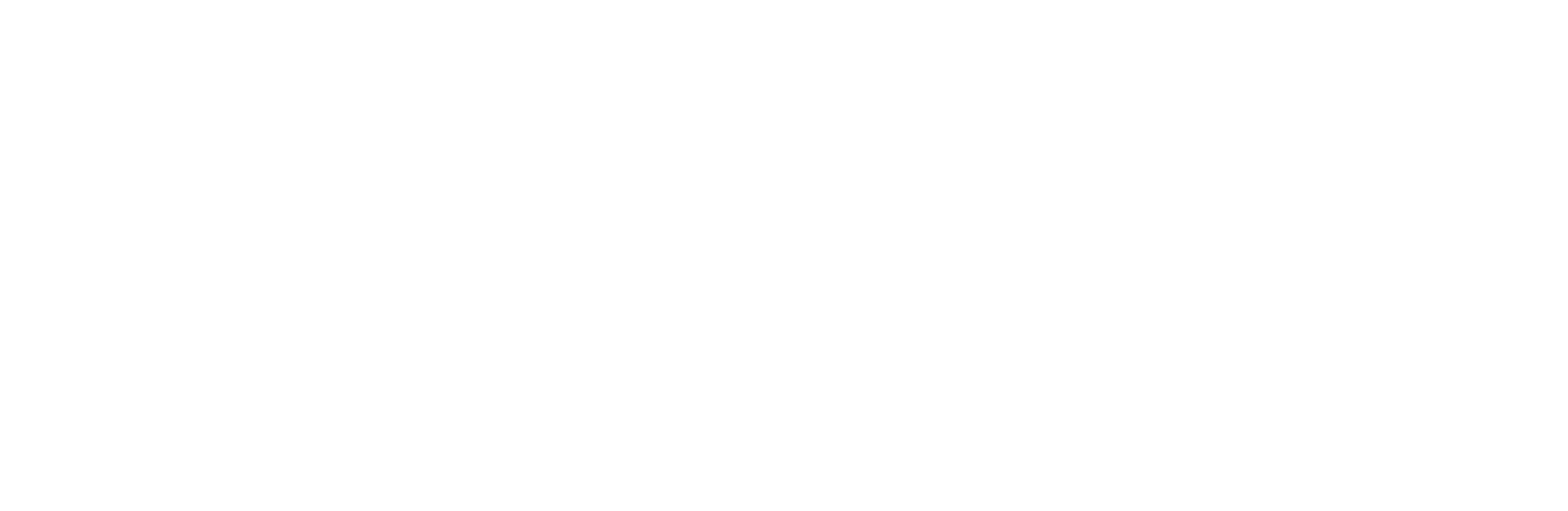 Automotive Partner Logo