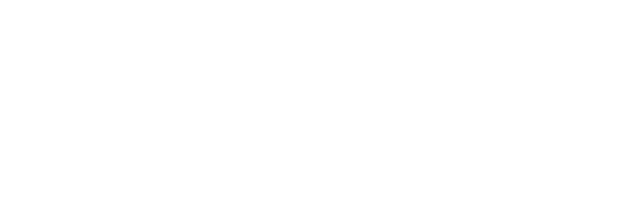 Technology Partner Logo
