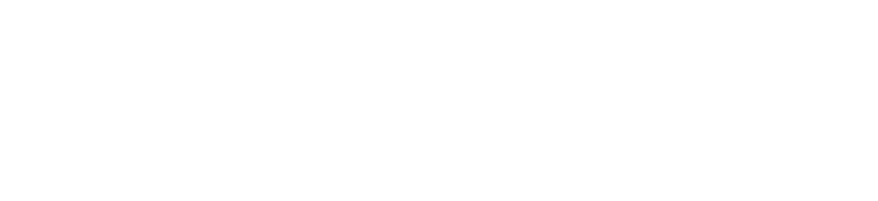 Automotive Partner Logo