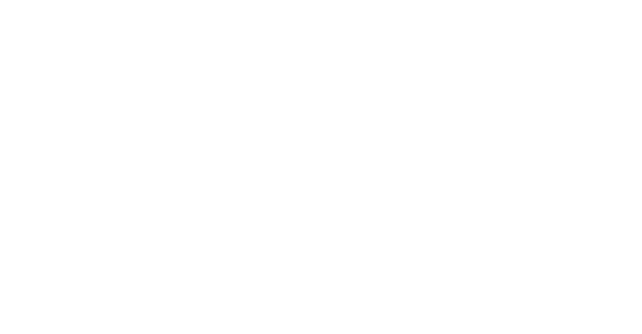 Professional Services Partner Logo