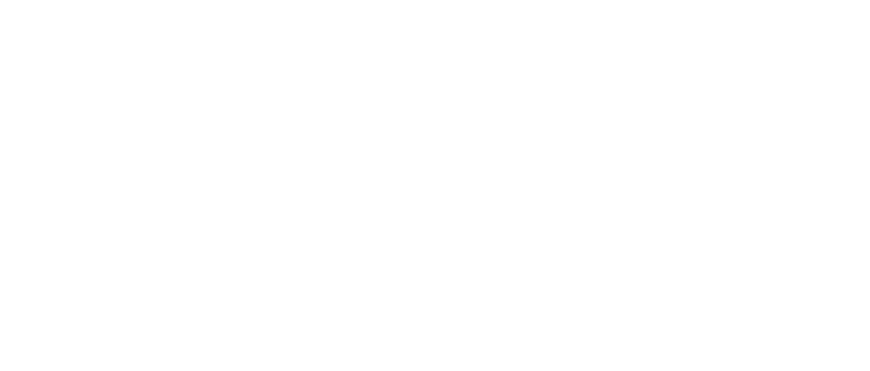 Automotive Partner Logo