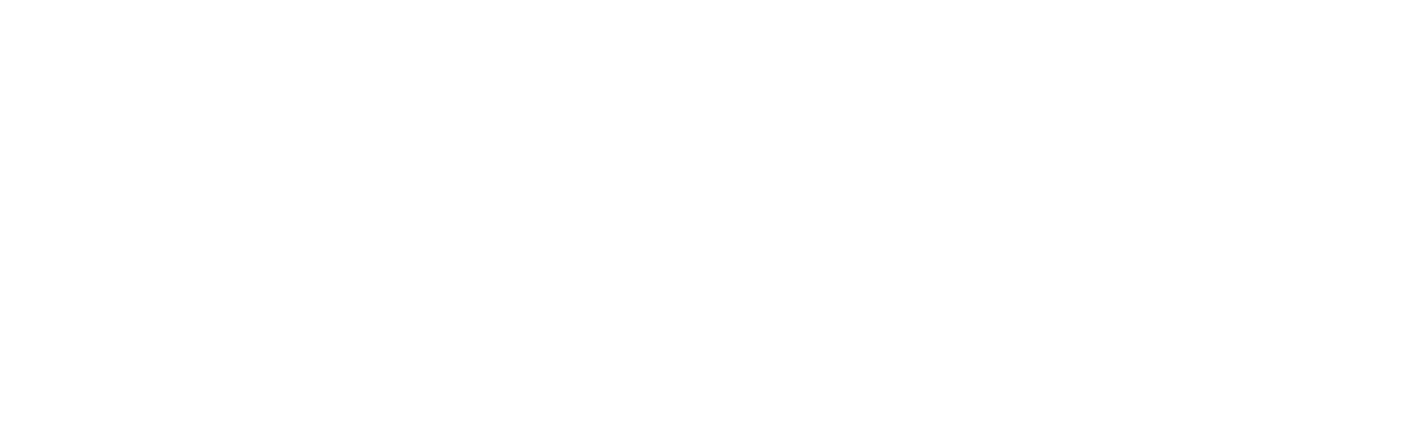 Professional Services Partner Logo