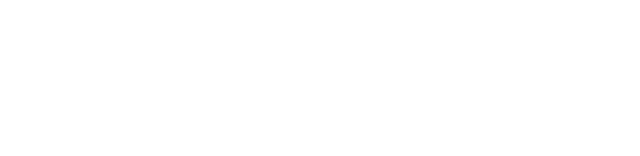 Automotive Partner Logo