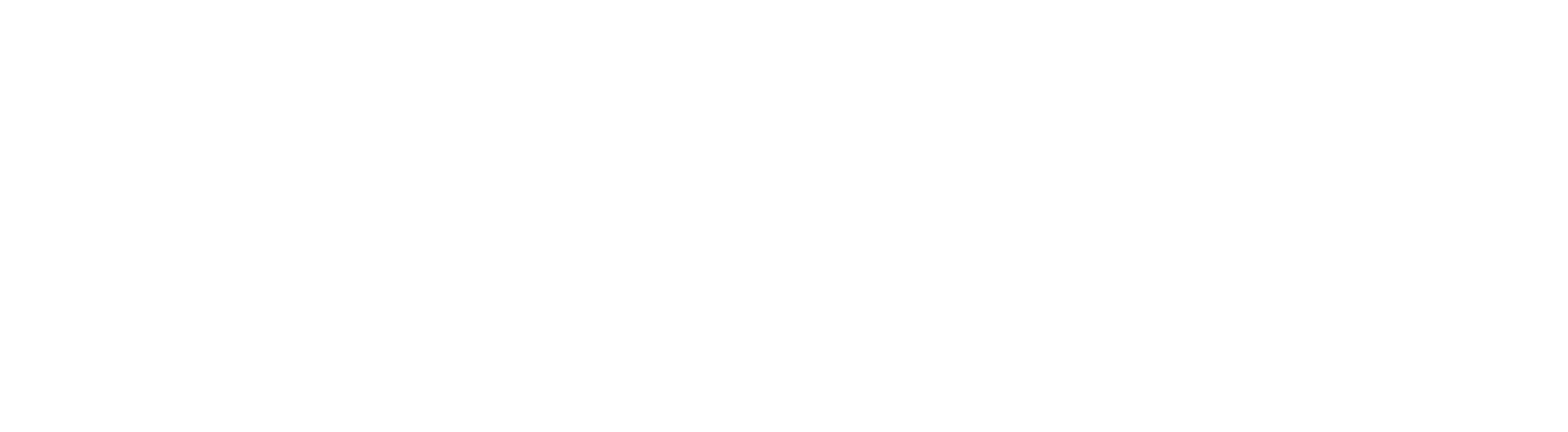 Automotive Partner Logo