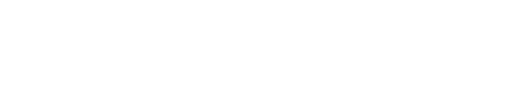 Automotive Partner Logo