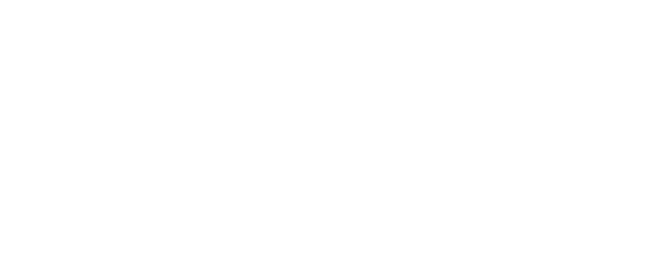Professional Services Partner Logo