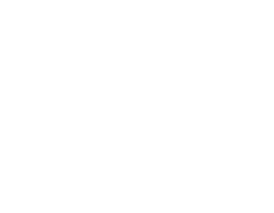 Professional Services Partner Logo