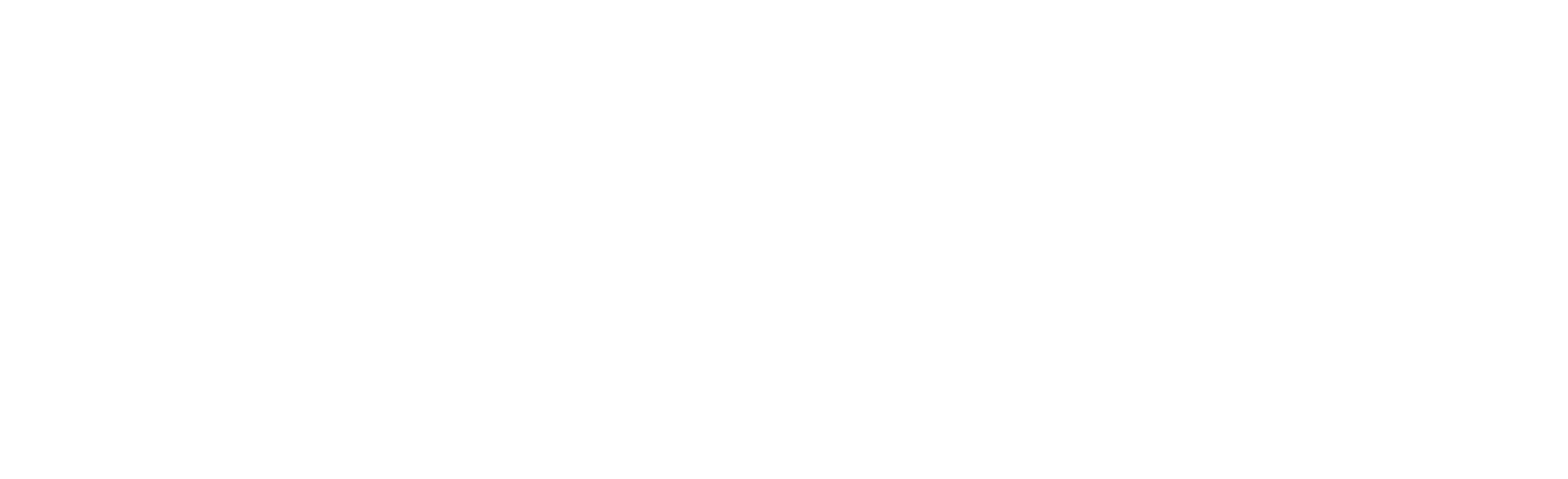 Technology Partner Logo