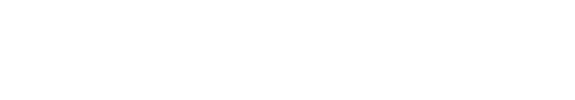 Technology Partner Logo