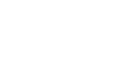 Technology Partner Logo