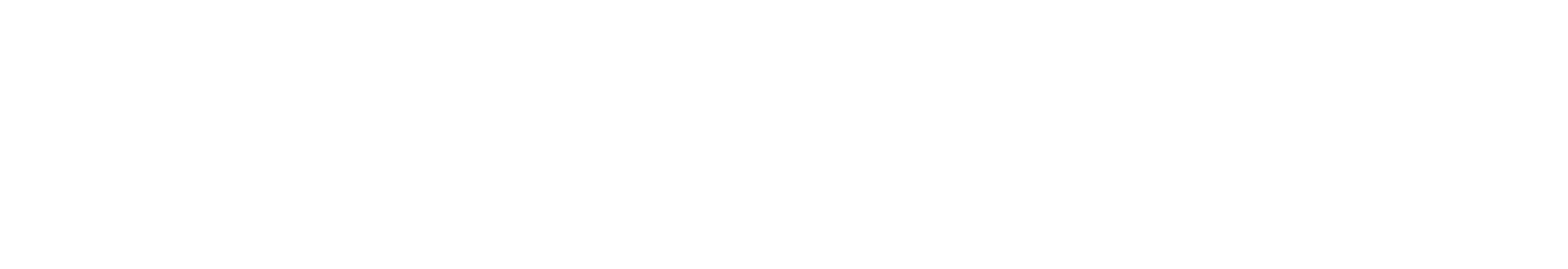 Technology Partner Logo