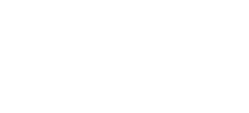 Professional Services Partner Logo