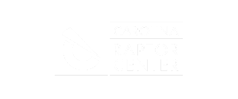 Non-Profit Partner Logo