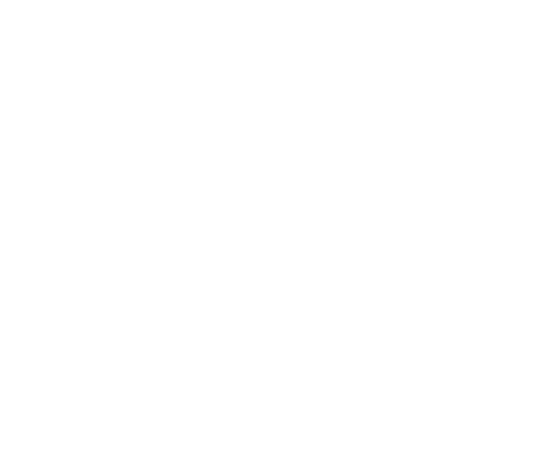 White logo with the words “City Fresh Foods”; the “C” in “City” is surrounded by sun-like rays.