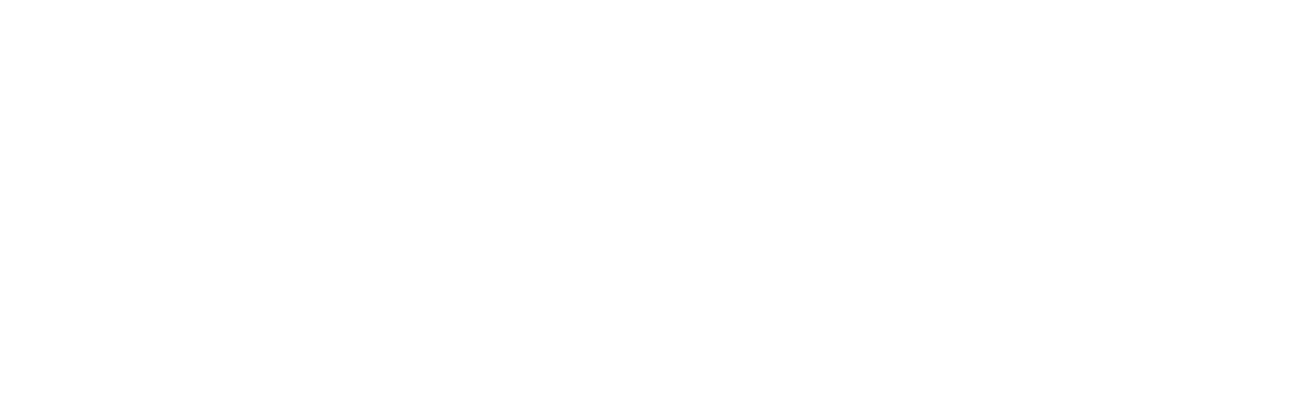 Iredell County NC logo with large, faded “Iredell” text and smaller “County NC” below, all in white font on a light gray background.