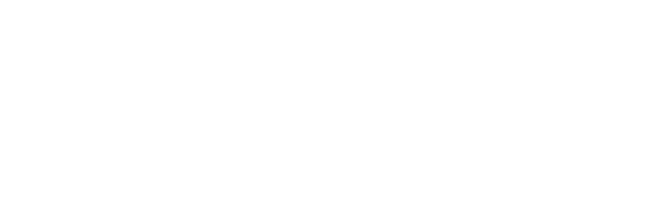 Raycom Sports logo in bold white text on a light gray background, ideal for representing a modern Digital Marketing Agency.