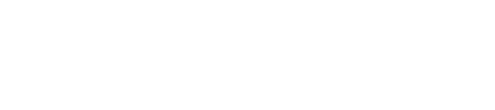 Logo for Scouting America Mecklenburg County Council with a fleur-de-lis symbol in the center, thoughtfully designed to reflect both heritage and modernity—ideal for representing your organization or even featured in a digital marketing agency’s campaign materials.