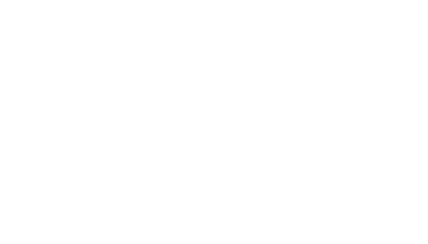 White triangular logo with a central circle above the words “WORLD SPORTS ENTERPRISES” in bold, block letters on a light background, representing a dynamic brand identity reminiscent of a modern Digital Marketing Agency.